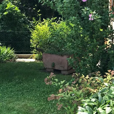 Gite De La Streng Ribeauvillé